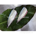 Pacific Frozen Mackerel HGT с лучшим качеством